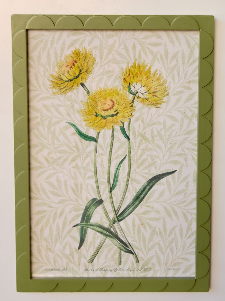 Green Scallop Frame Flower Picture